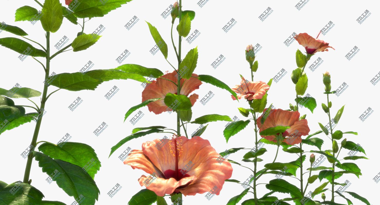 images/goods_img/20210319/Flower Open/4.jpg